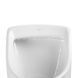Писсуар подвесной Qtap Scorpio 350х325х580 White QT1488HDU580W SD00045964 фото 13