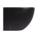 Биде напольное Qtap Robin 565x360x405 Matt black QT13442141CMB SD00043834 фото 10
