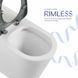 Унітаз підлоговий Qtap Freedom інклюзивний безбачковий Rimless безобідковий з сидінням Soft-close WHITE 2359814582 фото 6