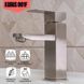 Смеситель для раковины Lidz (NKS) 10 30 001F SD00034631 фото 7