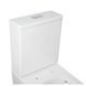 Унитаз-компакт Qtap Crow безободковый с сиденьем Soft-close QT05222170W SD00036221 фото 4